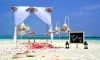 Summer Wedding